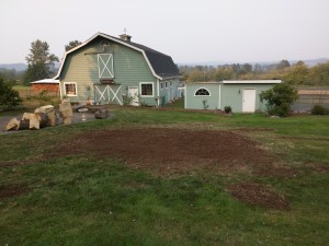 Monroe, WA | tree stump removal- after